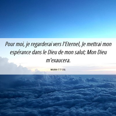 Picture 06 - Michée 7:7 LSG - Pour moi, je regarderai vers l'Eternel, Je - Bible Verse Picture