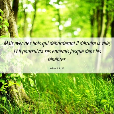 Picture 06 - Nahum 1:8 LSG - Mais avec des flots qui déborderont Il détruira - Bible Verse Picture