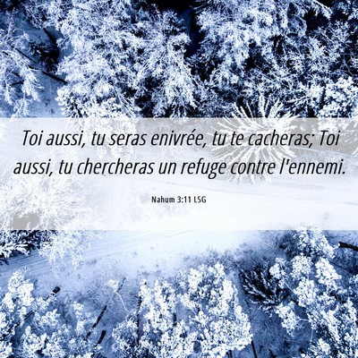 Picture 06 - Nahum 3:11 LSG - Toi aussi, tu seras enivrée, tu te cacheras; Toi - Bible Verse Picture