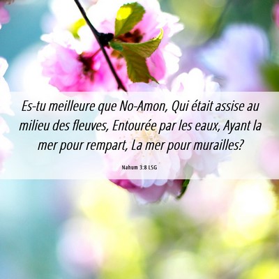 Picture 06 - Nahum 3:8 LSG - Es-tu meilleure que No-Amon, Qui était assise au - Bible Verse Picture