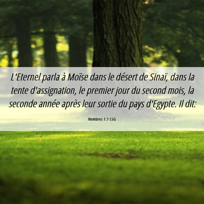 Picture 06 - Nombres 1:1 LSG - L'Eternel parla à Moïse dans le désert de - Bible Verse Picture