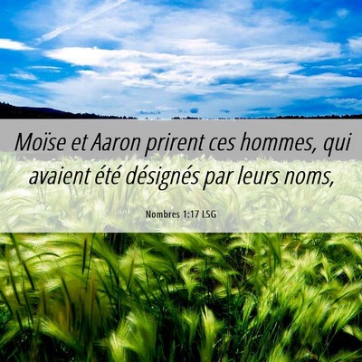 Picture 06 - Nombres 1:17 LSG - Moïse et Aaron prirent ces hommes, qui avaient - Bible Verse Picture