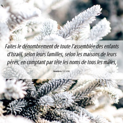 Picture 06 - Nombres 1:2 LSG - Faites le dénombrement de toute l'assemblée des - Bible Verse Picture