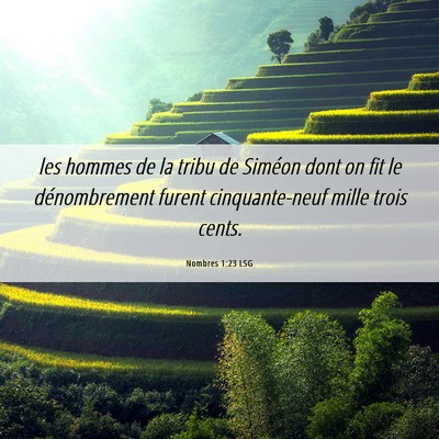 Picture 06 - Nombres 1:23 LSG - les hommes de la tribu de Siméon dont on fit le - Bible Verse Picture