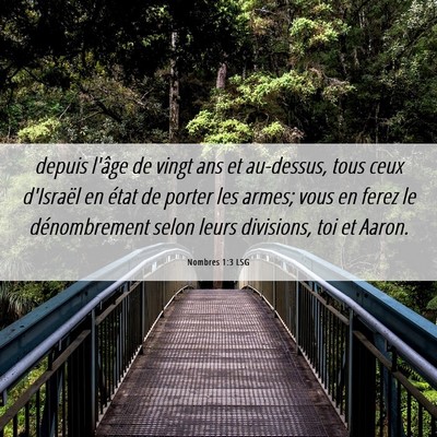 Picture 06 - Nombres 1:3 LSG - depuis l'âge de vingt ans et au-dessus, tous - Bible Verse Picture