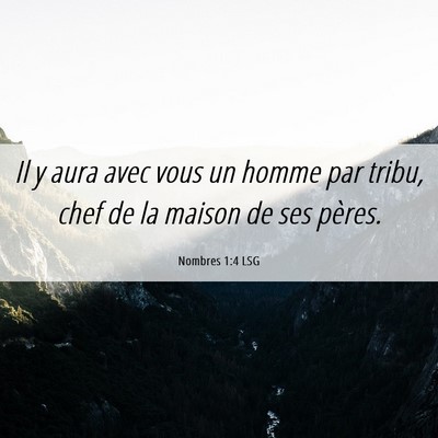 Picture 06 - Nombres 1:4 LSG - Il y aura avec vous un homme par tribu, chef de - Bible Verse Picture