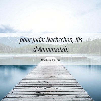 Picture 06 - Nombres 1:7 LSG - pour Juda: Nachschon, fils - Bible Verse Picture