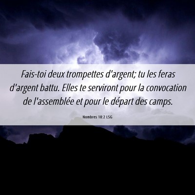Picture 06 - Nombres 10:2 LSG - Fais-toi deux trompettes d'argent; tu les feras - Bible Verse Picture