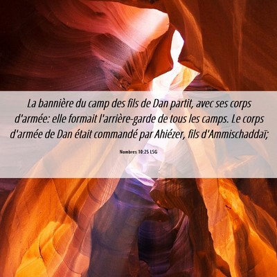 Picture 06 - Nombres 10:25 LSG - La bannière du camp des fils de Dan partit, avec - Bible Verse Picture
