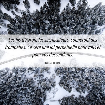 Picture 06 - Nombres 10:8 LSG - Les fils d'Aaron, les sacrificateurs, sonneront - Bible Verse Picture