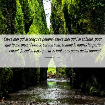 Picture 06 - Nombres 11:12 LSG - Est-ce moi qui ai conçu ce peuple? est-ce moi - Bible Verse Picture