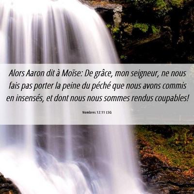 Picture 06 - Nombres 12:11 LSG - Alors Aaron dit à Moïse: De grâce, mon - Bible Verse Picture