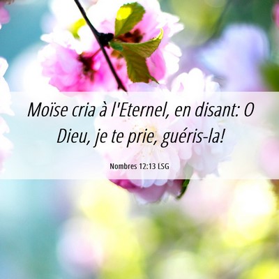 Picture 06 - Nombres 12:13 LSG - Moïse cria à l'Eternel, en disant: O Dieu, je - Bible Verse Picture