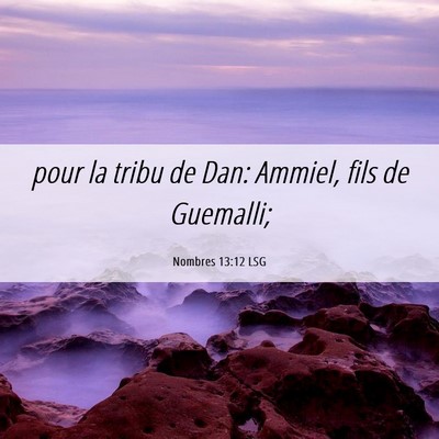Picture 06 - Nombres 13:12 LSG - pour la tribu de Dan: Ammiel, fils de - Bible Verse Picture