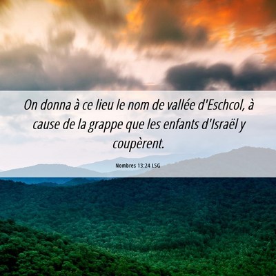 Picture 06 - Nombres 13:24 LSG - On donna à ce lieu le nom de vallée d'Eschcol, - Bible Verse Picture