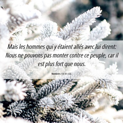 Picture 06 - Nombres 13:31 LSG - Mais les hommes qui y étaient allés avec lui - Bible Verse Picture