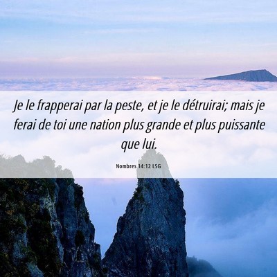 Picture 06 - Nombres 14:12 LSG - Je le frapperai par la peste, et je le - Bible Verse Picture