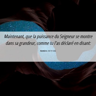 Picture 06 - Nombres 14:17 LSG - Maintenant, que la puissance du Seigneur se - Bible Verse Picture