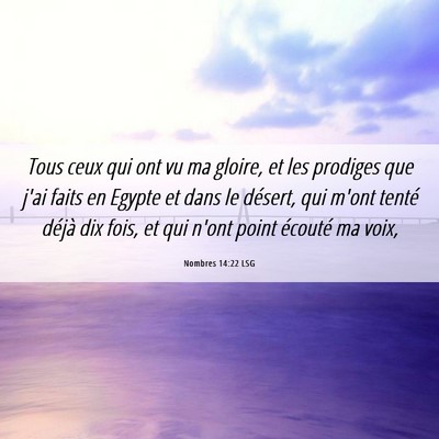 Picture 06 - Nombres 14:22 LSG - Tous ceux qui ont vu ma gloire, et les prodiges - Bible Verse Picture