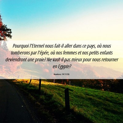 Picture 06 - Nombres 14:3 LSG - Pourquoi l'Eternel nous fait-il aller dans ce - Bible Verse Picture
