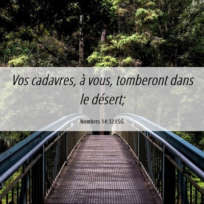 Picture 06 - Nombres 14:32 LSG - Vos cadavres, à vous, tomberont dans le - Bible Verse Picture
