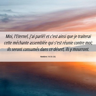 Picture 06 - Nombres 14:35 LSG - Moi, l'Eternel, j'ai parlé! et c'est ainsi que - Bible Verse Picture