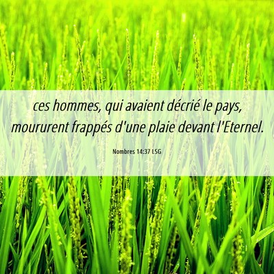 Picture 06 - Nombres 14:37 LSG - ces hommes, qui avaient décrié le pays, - Bible Verse Picture