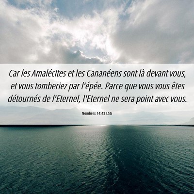 Picture 06 - Nombres 14:43 LSG - Car les Amalécites et les Cananéens sont là - Bible Verse Picture