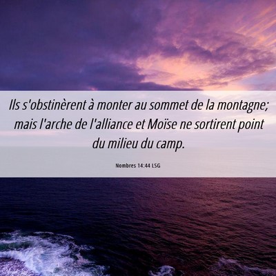 Picture 06 - Nombres 14:44 LSG - Ils s'obstinèrent à monter au sommet de la - Bible Verse Picture