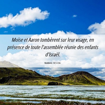 Picture 06 - Nombres 14:5 LSG - Moïse et Aaron tombèrent sur leur visage, en - Bible Verse Picture