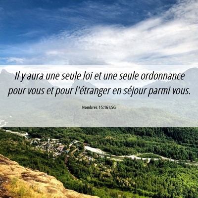 Picture 06 - Nombres 15:16 LSG - Il y aura une seule loi et une seule ordonnance - Bible Verse Picture