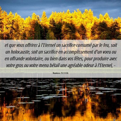 Picture 06 - Nombres 15:3 LSG - et que vous offrirez à l'Eternel un sacrifice - Bible Verse Picture