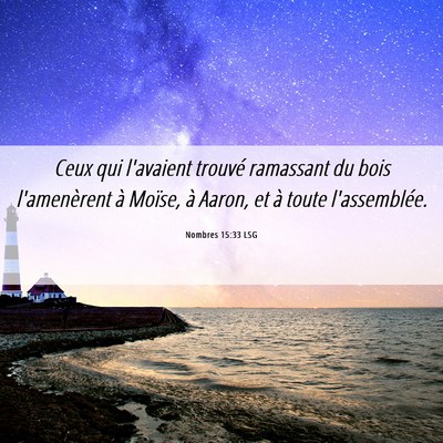 Picture 06 - Nombres 15:33 LSG - Ceux qui l'avaient trouvé ramassant du bois - Bible Verse Picture