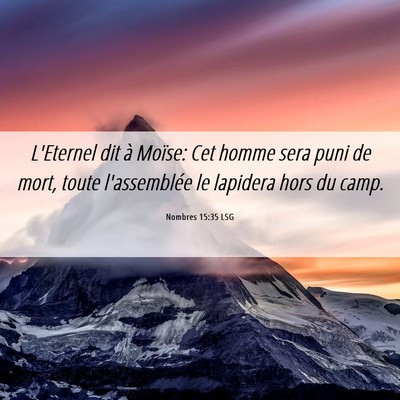 Picture 06 - Nombres 15:35 LSG - L'Eternel dit à Moïse: Cet homme sera puni de - Bible Verse Picture
