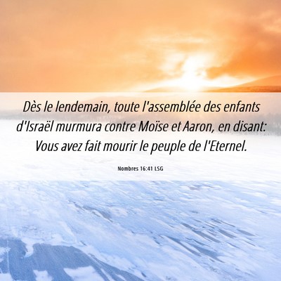 Picture 06 - Nombres 16:41 LSG - Dès le lendemain, toute l'assemblée des enfants - Bible Verse Picture