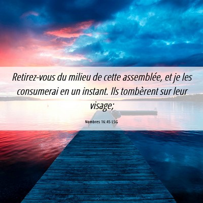 Picture 06 - Nombres 16:45 LSG - Retirez-vous du milieu de cette assemblée, et je - Bible Verse Picture
