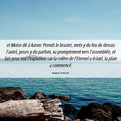 Picture 06 - Nombres 16:46 LSG - et Moïse dit à Aaron: Prends le brasier, mets-y - Bible Verse Picture