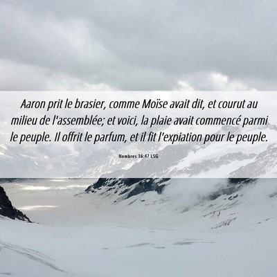 Picture 06 - Nombres 16:47 LSG - Aaron prit le brasier, comme Moïse avait dit, et - Bible Verse Picture
