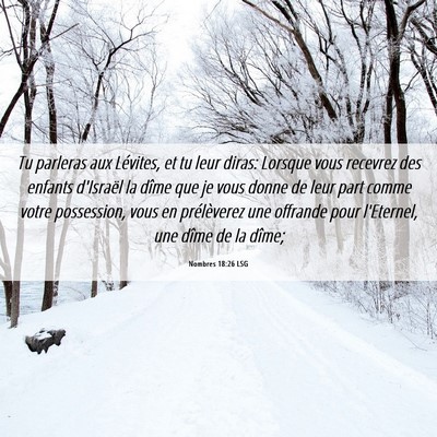 Picture 06 - Nombres 18:26 LSG - Tu parleras aux Lévites, et tu leur diras: - Bible Verse Picture