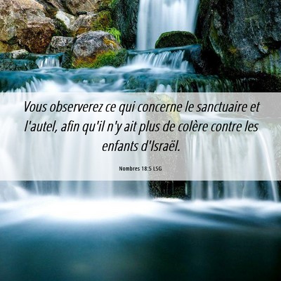 Picture 06 - Nombres 18:5 LSG - Vous observerez ce qui concerne le sanctuaire et - Bible Verse Picture