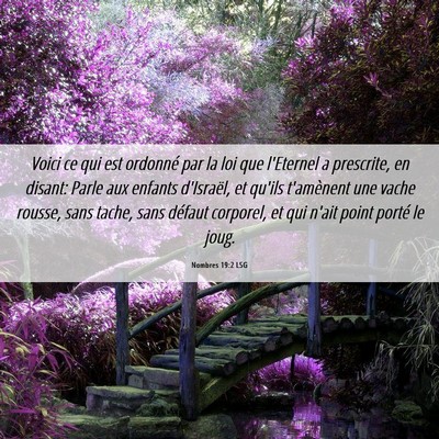 Picture 06 - Nombres 19:2 LSG - Voici ce qui est ordonné par la loi que - Bible Verse Picture
