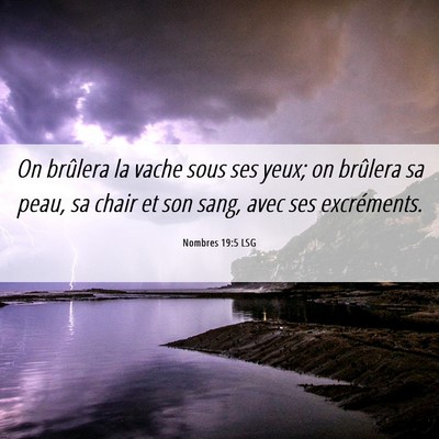 Picture 06 - Nombres 19:5 LSG - On brûlera la vache sous ses yeux; on brûlera - Bible Verse Picture