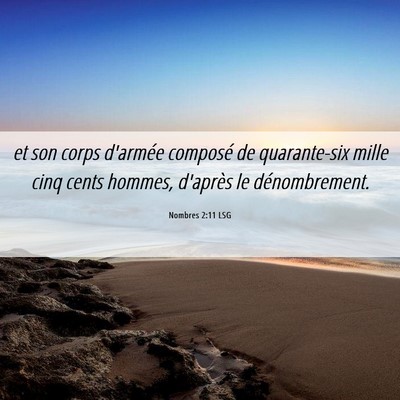 Picture 06 - Nombres 2:11 LSG - et son corps d'armée composé de quarante-six - Bible Verse Picture