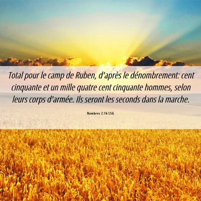 Picture 06 - Nombres 2:16 LSG - Total pour le camp de Ruben, d'après le - Bible Verse Picture
