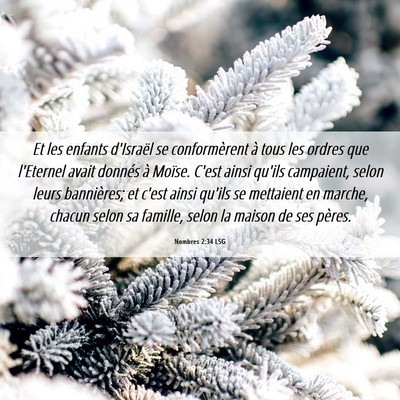 Picture 06 - Nombres 2:34 LSG - Et les enfants d'Israël se conformèrent à tous - Bible Verse Picture