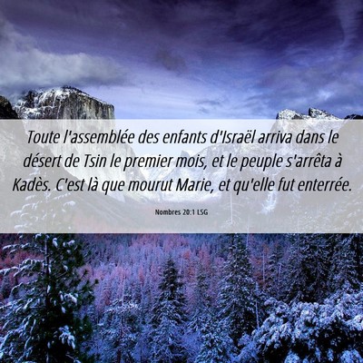 Picture 06 - Nombres 20:1 LSG - Toute l'assemblée des enfants d'Israël arriva - Bible Verse Picture