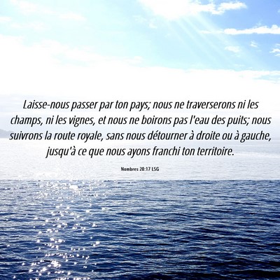 Picture 06 - Nombres 20:17 LSG - Laisse-nous passer par ton pays; nous ne - Bible Verse Picture