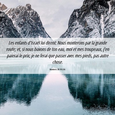 Picture 06 - Nombres 20:19 LSG - Les enfants d'Israël lui dirent: Nous monterons - Bible Verse Picture