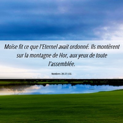 Picture 06 - Nombres 20:27 LSG - Moïse fit ce que l'Eternel avait ordonné. Ils - Bible Verse Picture