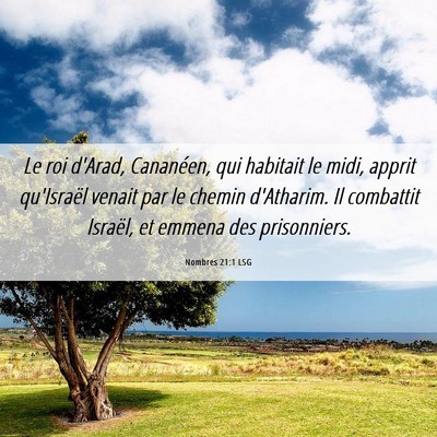 Picture 06 - Nombres 21:1 LSG - Le roi d'Arad, Cananéen, qui habitait le midi, - Bible Verse Picture